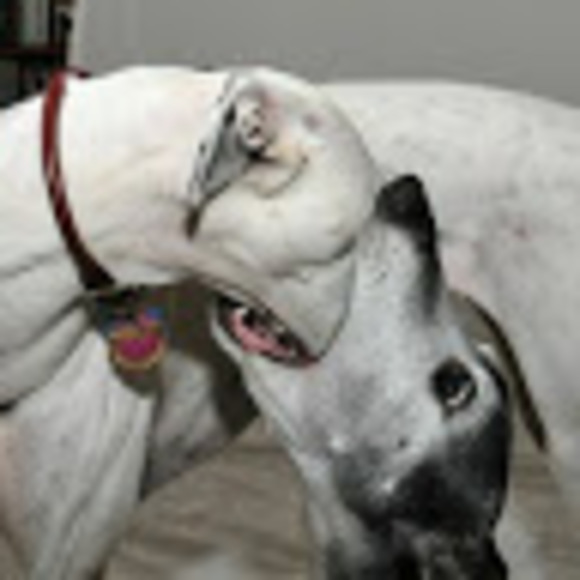 Meet your Posher, Natalie maire - Picture 1 of 1